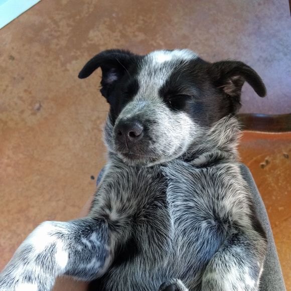 Meet your Posher, Kathleen - Picture 1 of 1